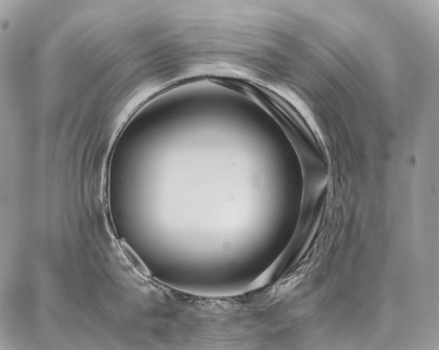 X0000087360815200704201145
