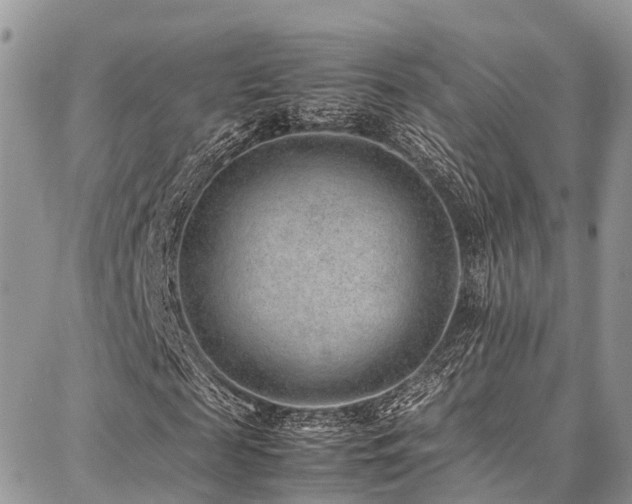 X0000087360817200704201145