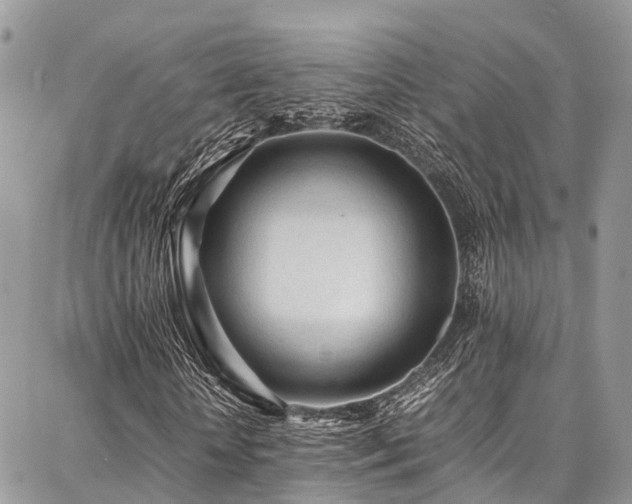 X0000087360818200704201145