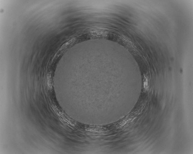 X0000087360819200704201145