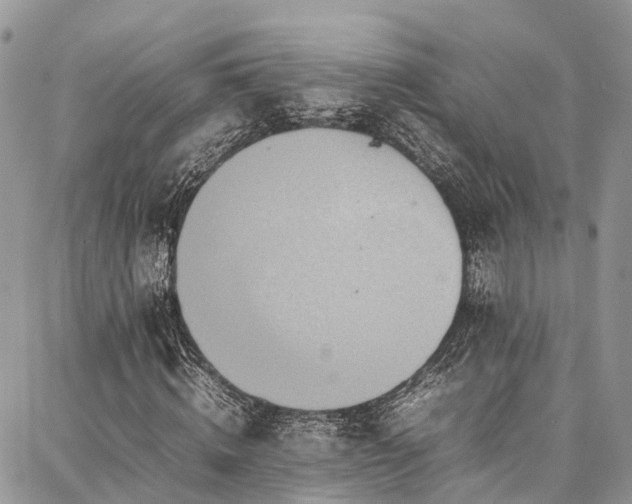 X0000087360820200704201145