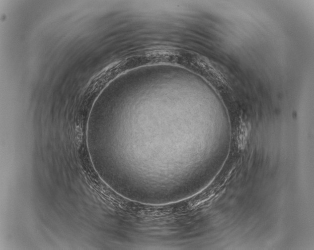 X0000087360821200704201145