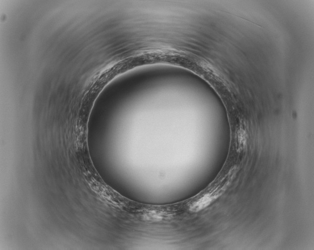 X0000087360822200704201145