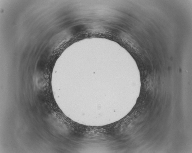 X0000087360824200704201145