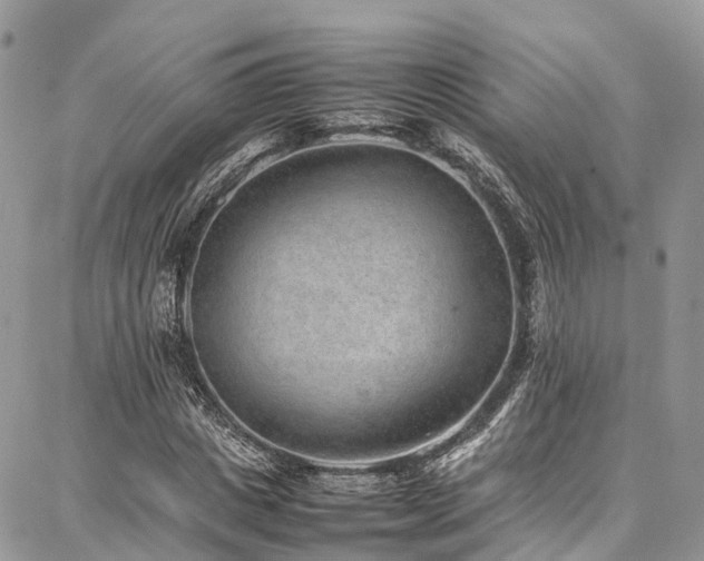 X0000087360825200704201145