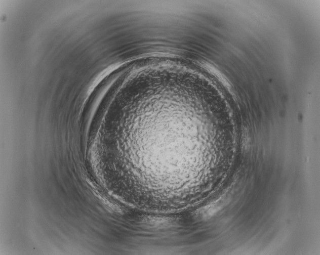 X0000087360829200704201145