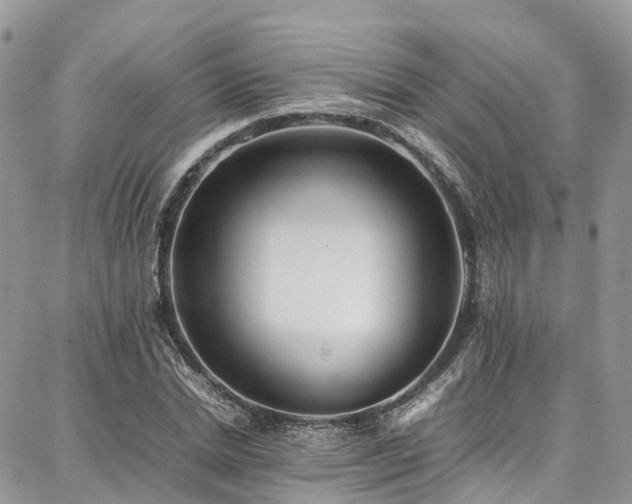 X0000087360830200704201145