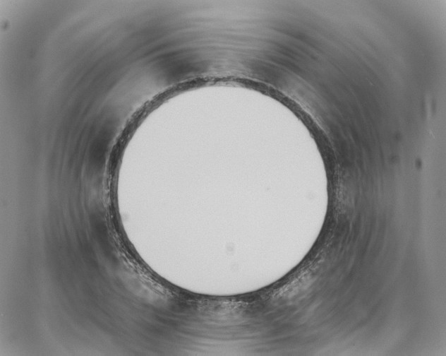 X0000087360832200704201145