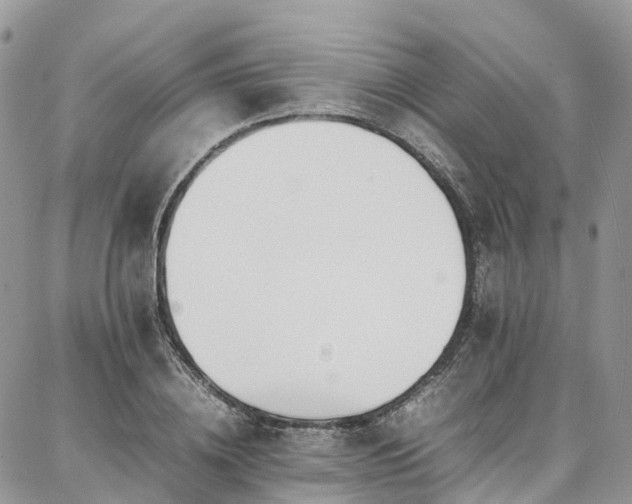 X0000087360836200704201145