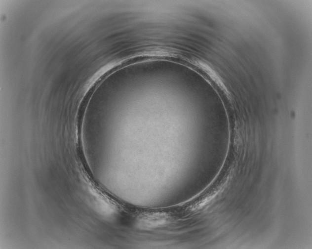 X0000087360837200704201145