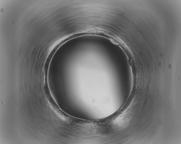X0000087360838200704201145