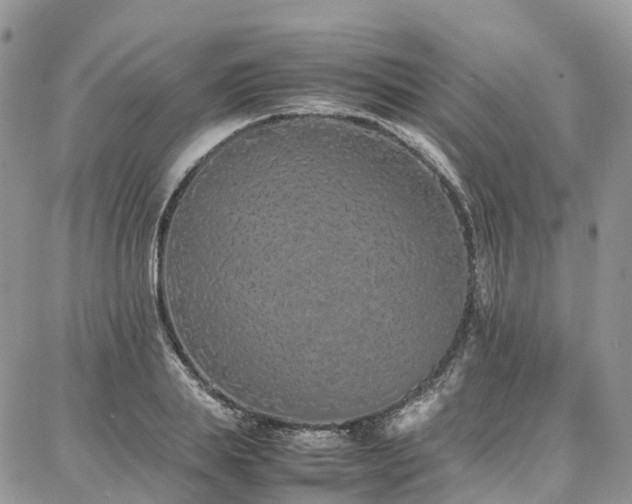 X0000087360839200704201145