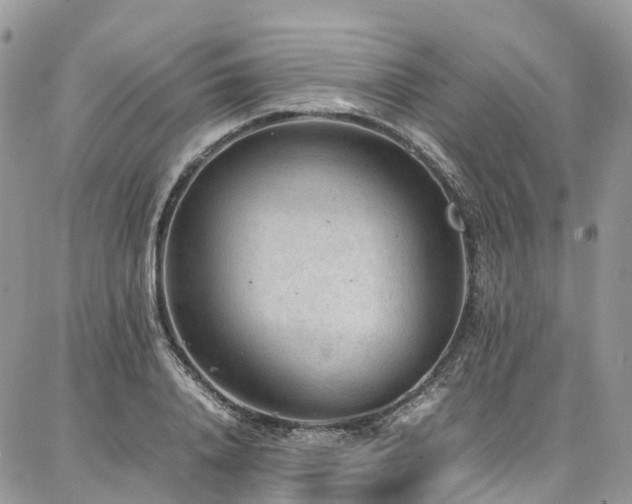 X0000087360840200704201145