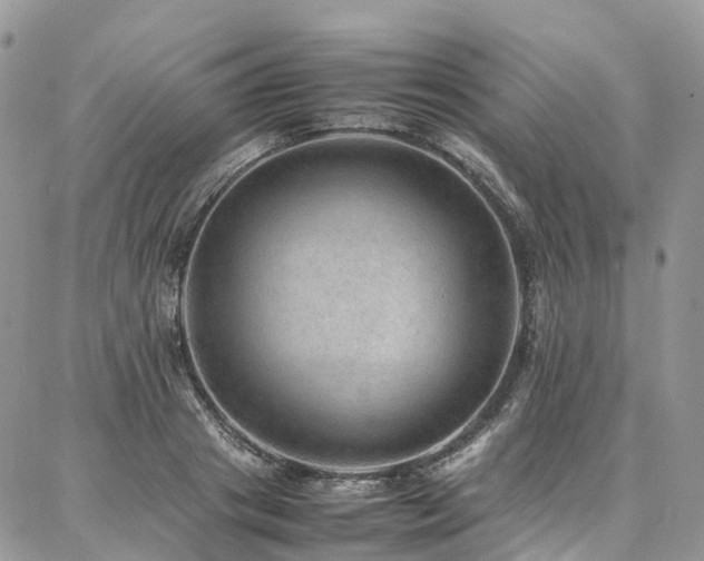 X0000087360841200704201145