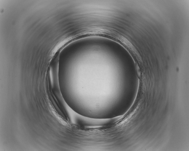 X0000087360842200704201145