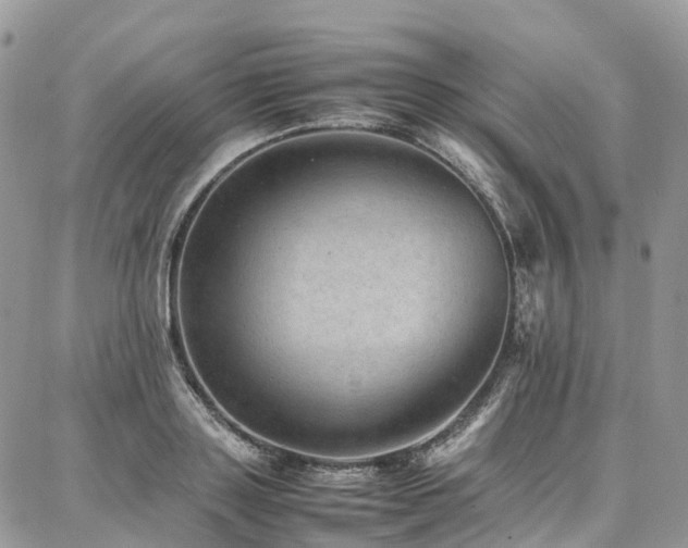 X0000087360843200704201145