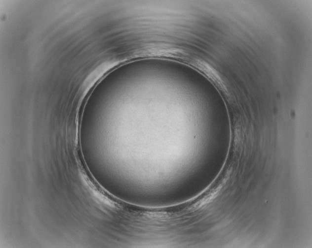 X0000087360844200704201145