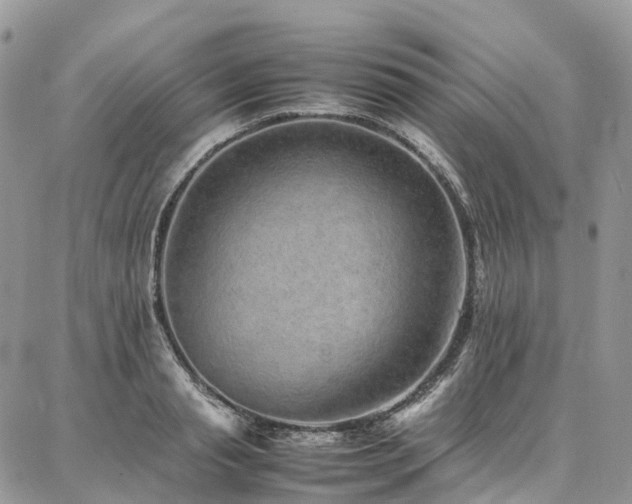 X0000087360845200704201145