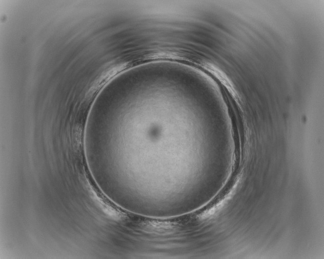 X0000087360849200704201145