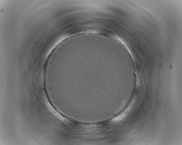 X0000087360851200704201145