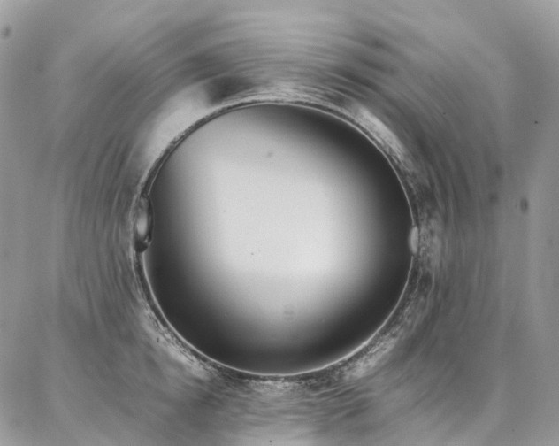 X0000087360854200704201145