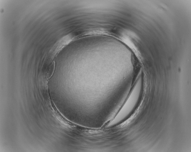 X0000087360857200704201145