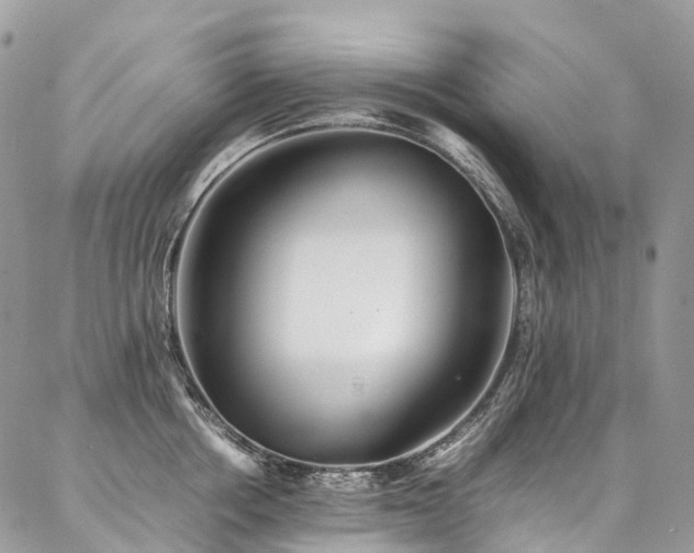 X0000087360858200704201145