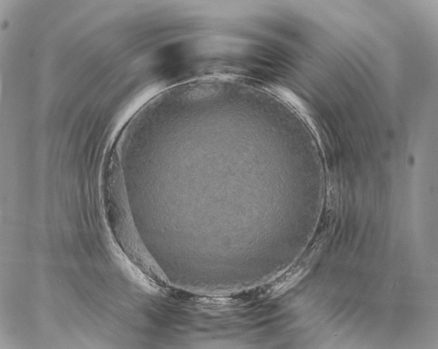 X0000087360859200704201145
