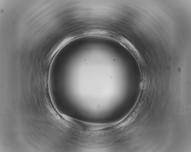 X0000087360860200704201145
