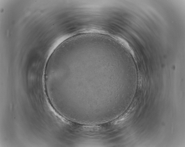 X0000087360863200704201145