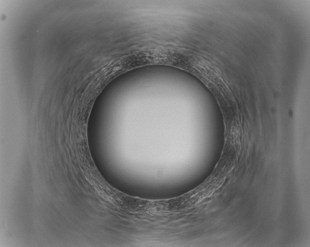 X0000087360865200704201145