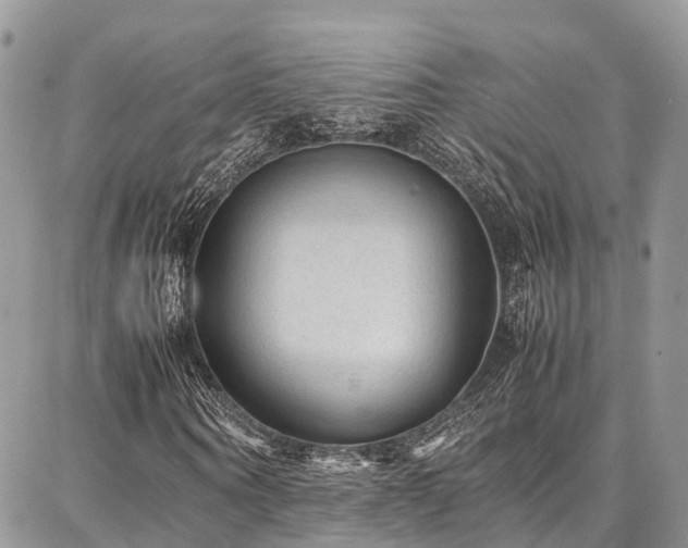 X0000087360866200704201145