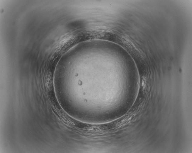 X0000087360867200704201145
