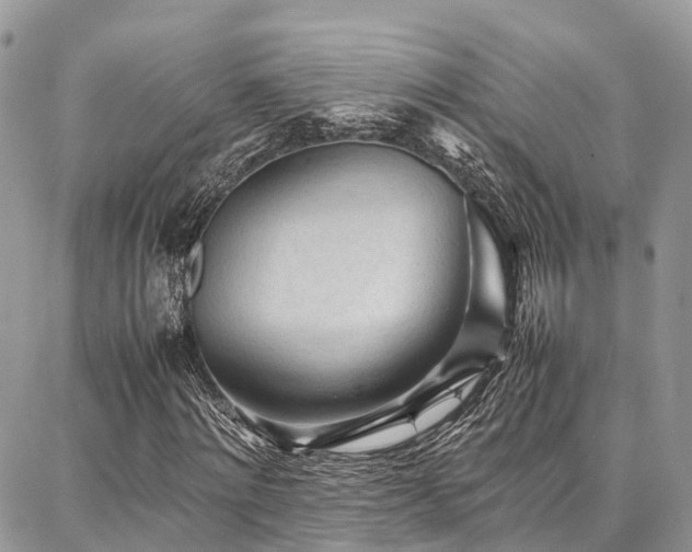 X0000087360868200704201145