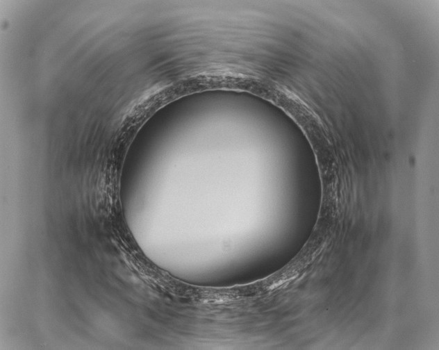 X0000087360870200704201145