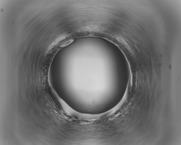 X0000087360872200704201145