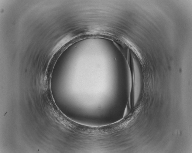 X0000087360876200704201144