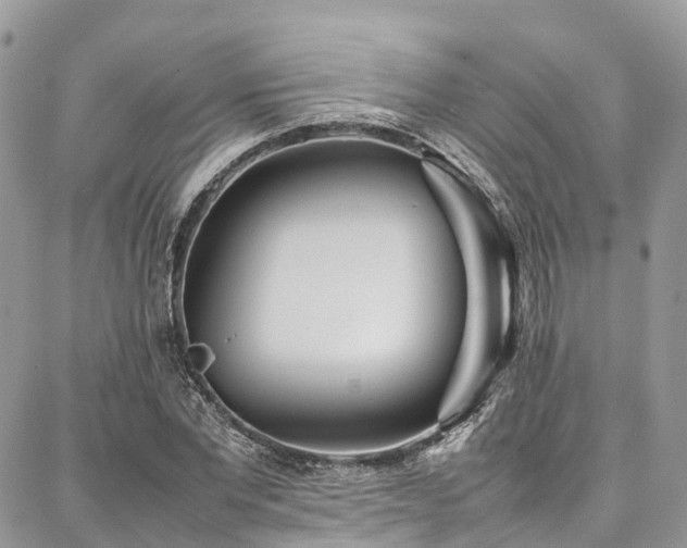 X0000087360877200704201144