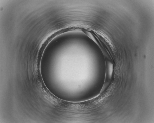X0000087360880200704201144