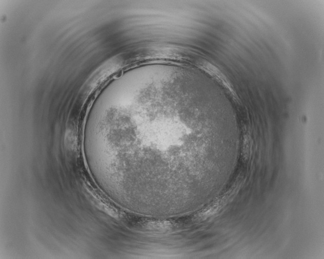 X0000087360882200704201144