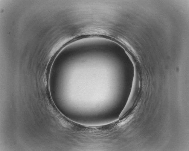 X0000087360885200704201144