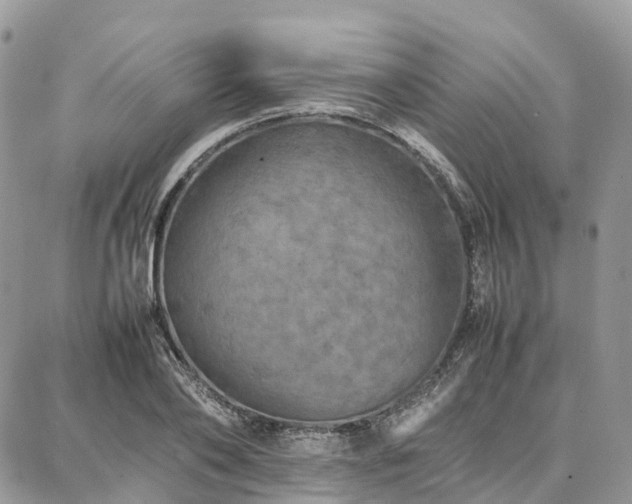 X0000087360886200704201144