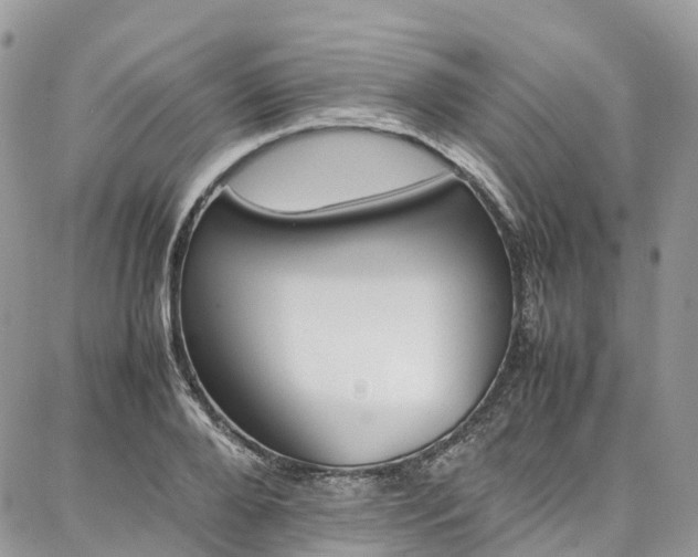 X0000087360888200704201144