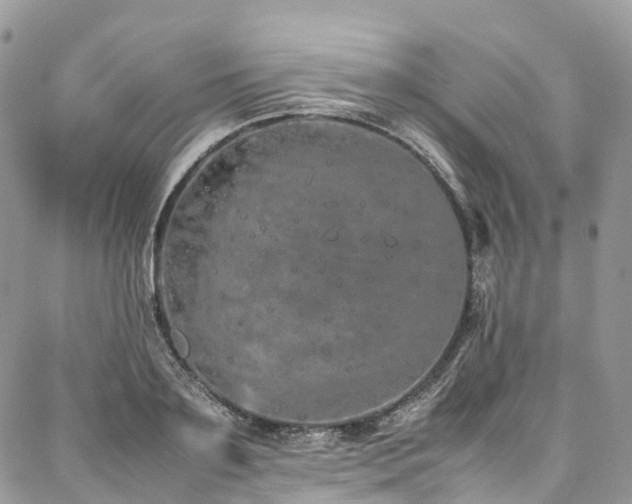 X0000087360891200704201144