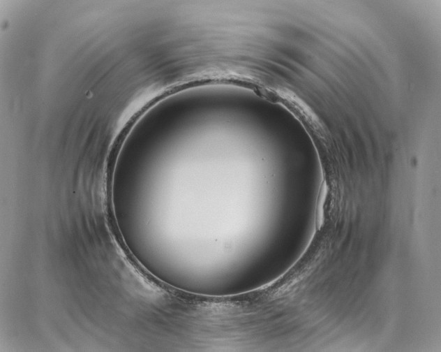 X0000087360894200704201144