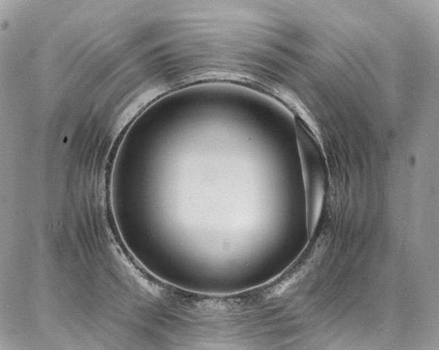 X0000087360898200704201144