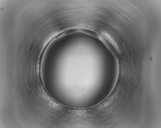 X0000087360900200704201144