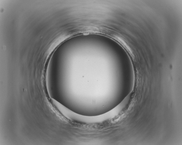 X0000087360901200704201144