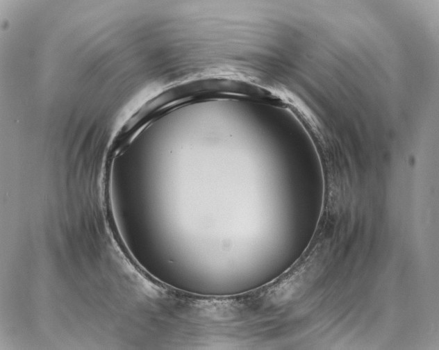 X0000087360902200704201144