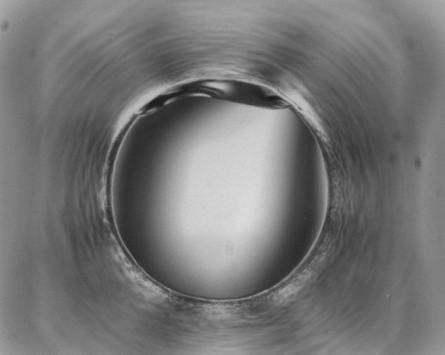 X0000087360904200704201144
